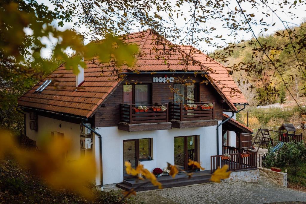 a house with birds flying in front of it at Pensiunea Nossa Panzió in Corunca