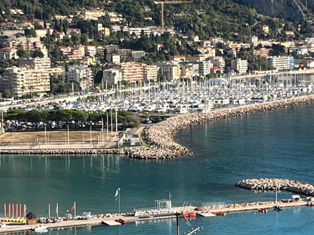 een haven met een hoop boten in het water bij Le Campanin in Menton