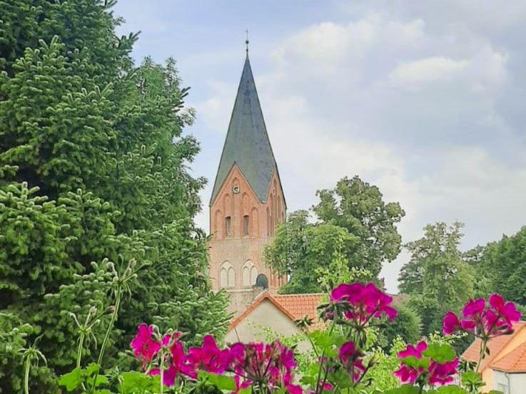 Zahrada ubytování FW "Landperle" ID16227