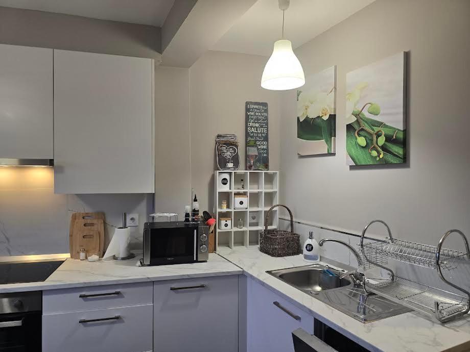 une cuisine avec un évier et un micro-ondes dans l'établissement Camino Santiago Santiago Road, à O Porriño