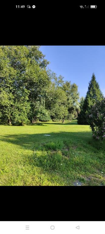 a field of green grass with trees in the background at l'Adapté in Raon-lʼÉtape