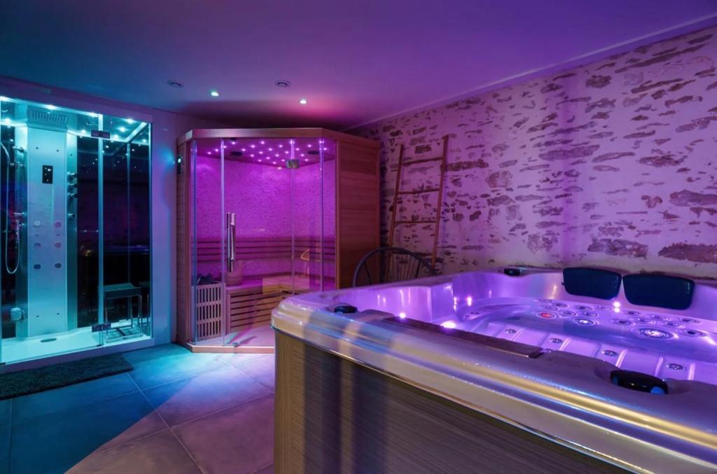 a purple bathroom with a tub and a shower at Maison avec espace bien-être privé in Mareuil-sur-Lay