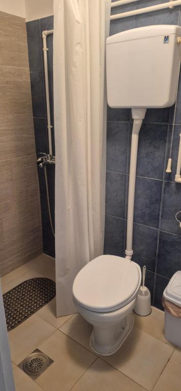 un baño con inodoro y ducha en Одмориште Ноћко, en Valjevo