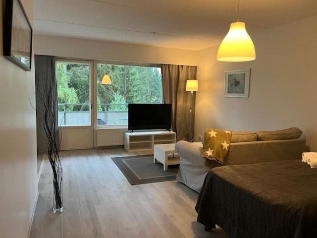 TV a/nebo společenská místnost v ubytování Kotimaailma - Tilava saunallinen kolmio Salossa