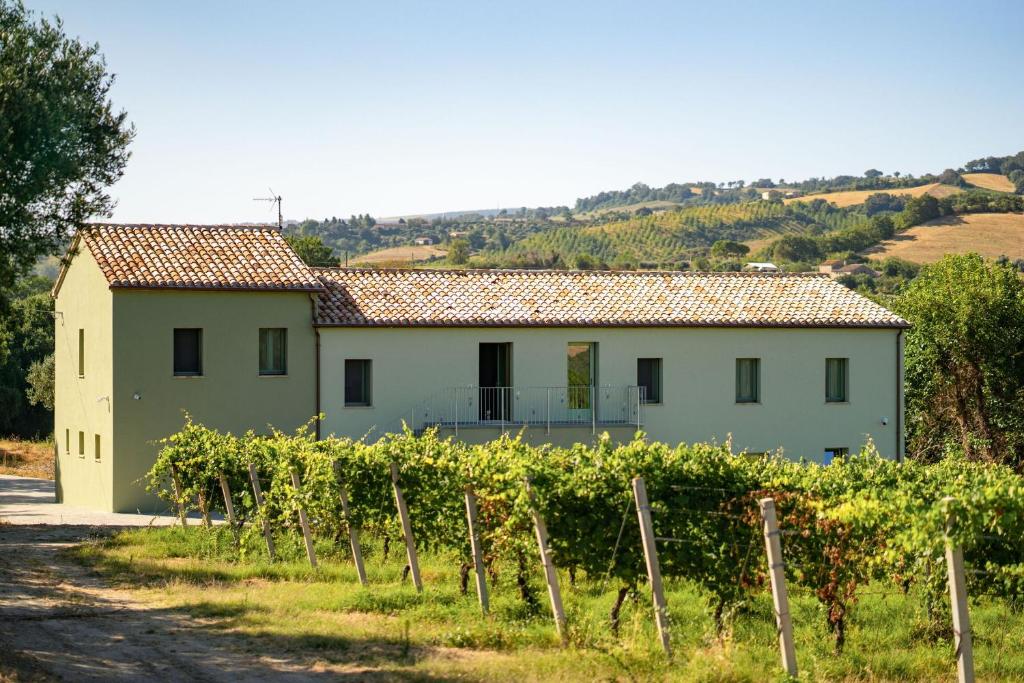 een huis in een wijngaard met een bos druiven bij Italian Experience-Villa Zena in San Paolo di Iesi