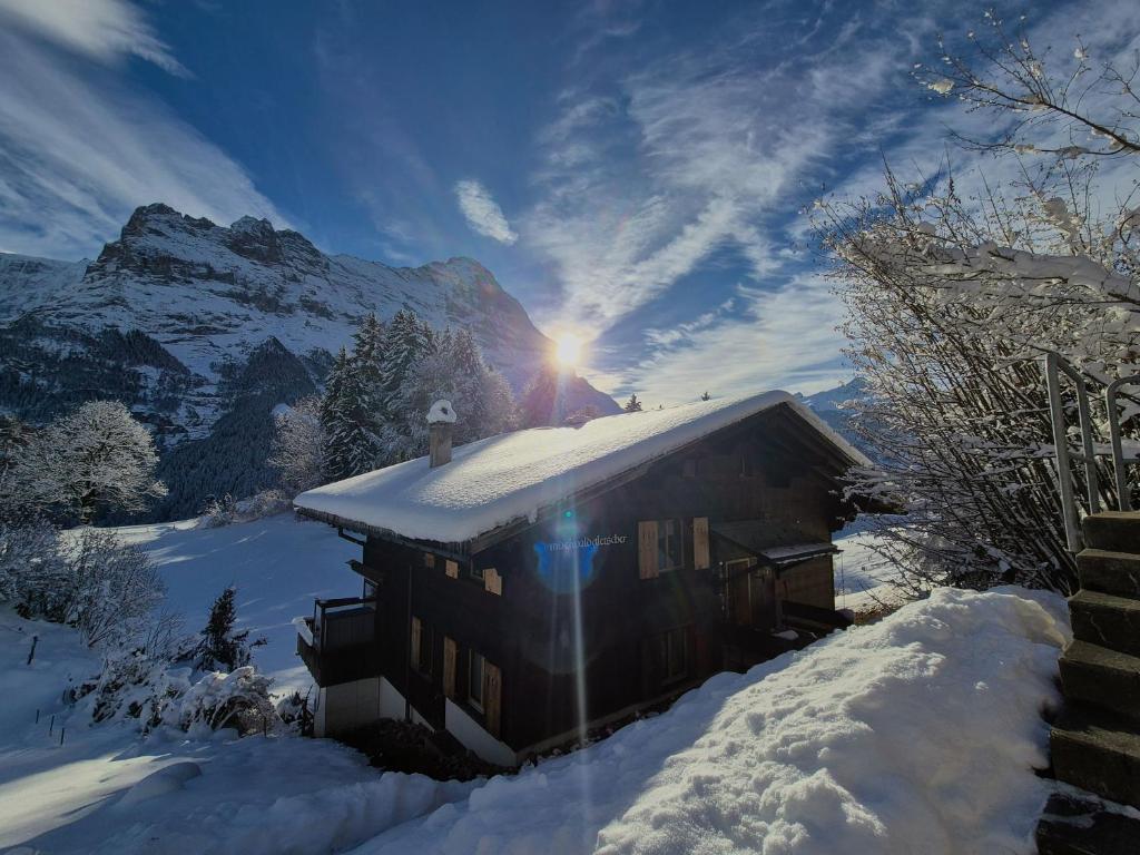 Naturlandskabet i nærheden af lejligheden