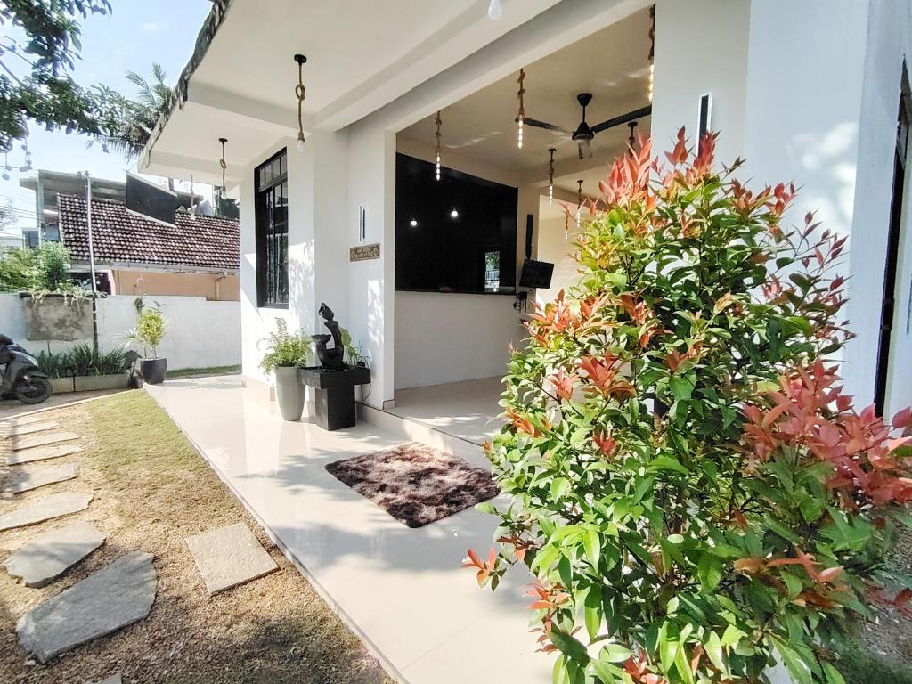 a garden outside a house with plants at One Love in Weligama