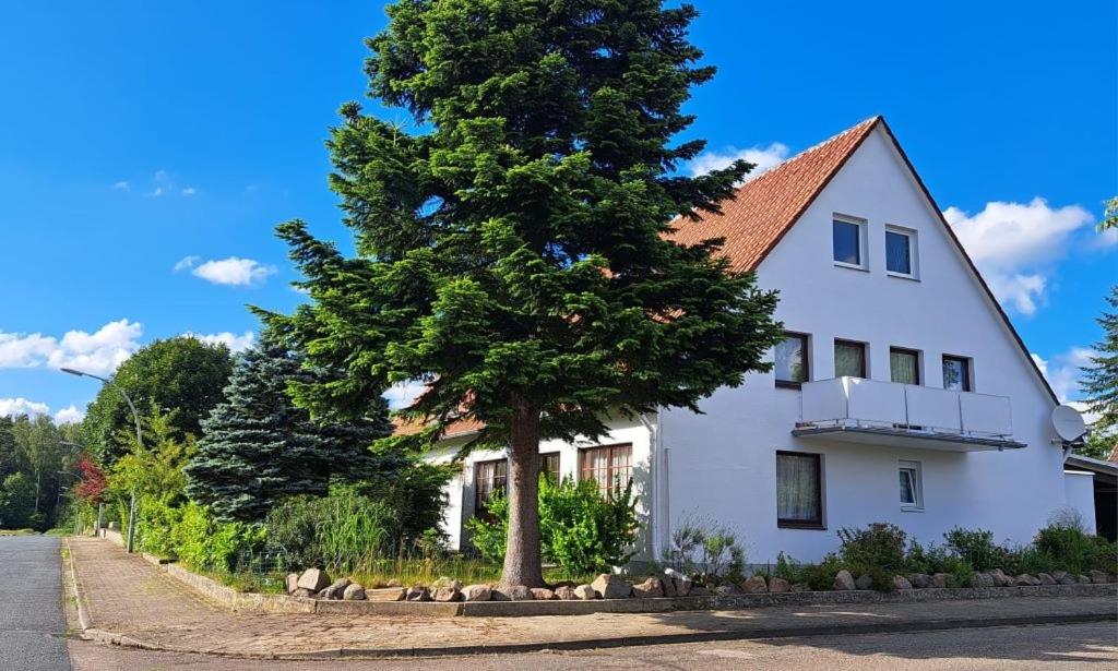 a white house with a tree in front of it at Ferienwohnung Auguste in Munster