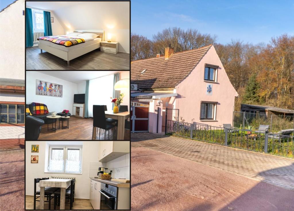 Kuchyň nebo kuchyňský kout v ubytování Landhaus Ruheoase - dennoch mittendrin - Natur, Städte & Harz