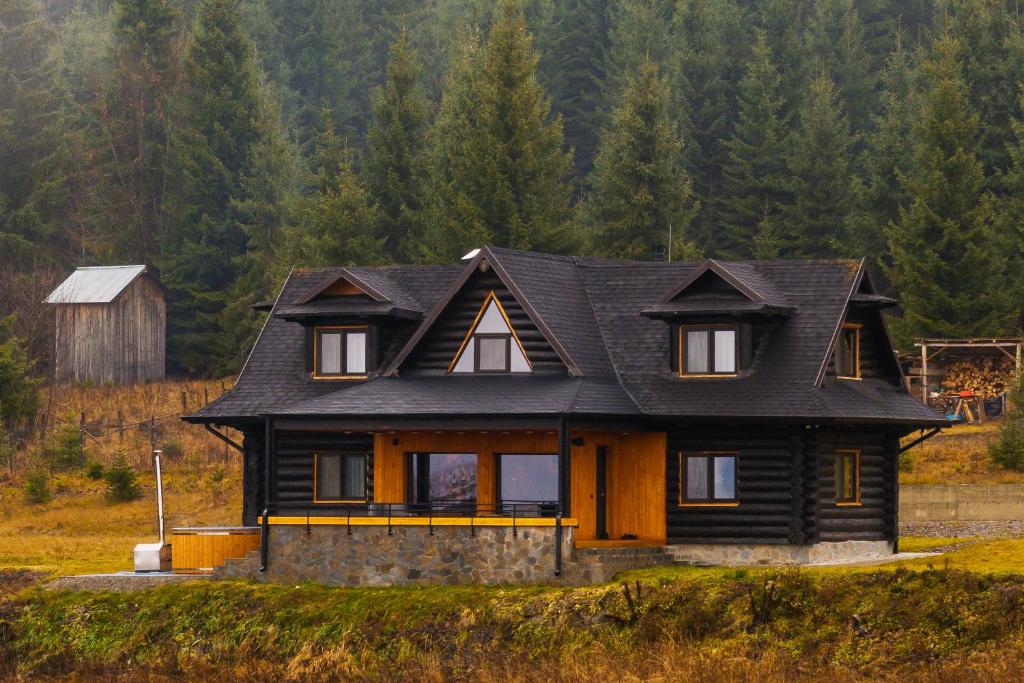 ein Haus mit einem schwarzen Dach auf einem Feld in der Unterkunft Blackwood Retreat in Neagra Şarului