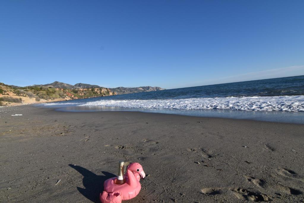 Apto Corinto a 100 m de Burriana Playa