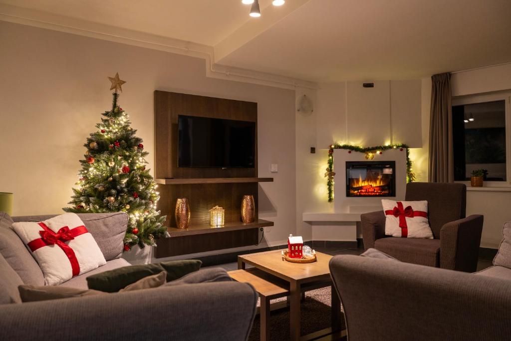 un soggiorno con un albero di Natale e un divano di Lipno Stories a Lipno nad Vltavou