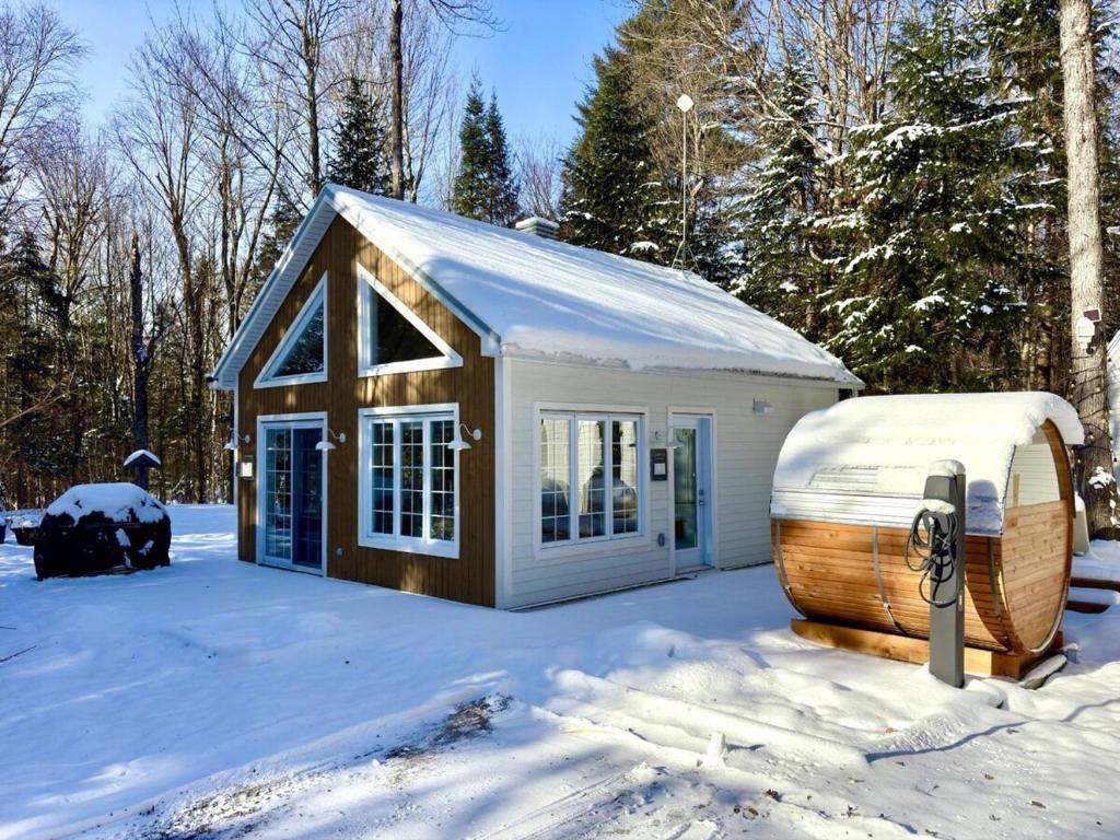 une minuscule maison avec sauna dans la neige dans l'établissement Pur Nature Garthby et Sauna, à Saint-Gérard