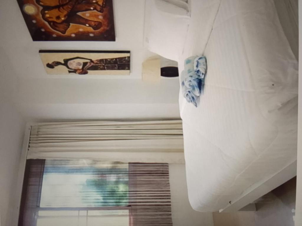 een kamer met een plafond vol schilderijen en een raam bij Star light hotel in Monterrey