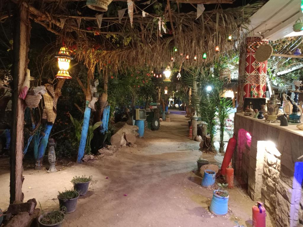 Bedouin Lodge Luxor - 11