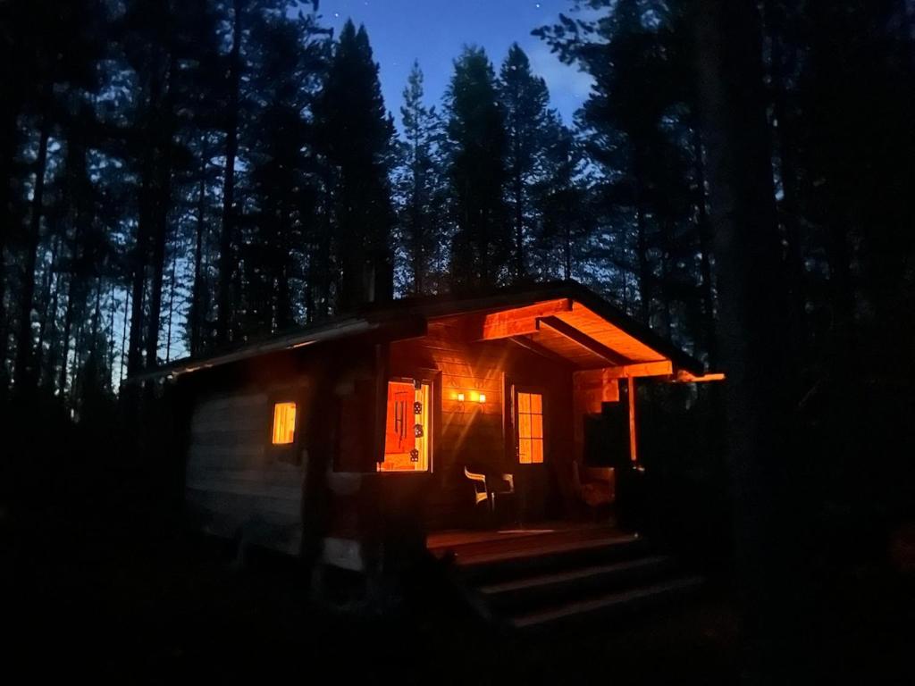 a small cabin in the woods at night at Forestry cabin and sauna cabin in Halmevaara