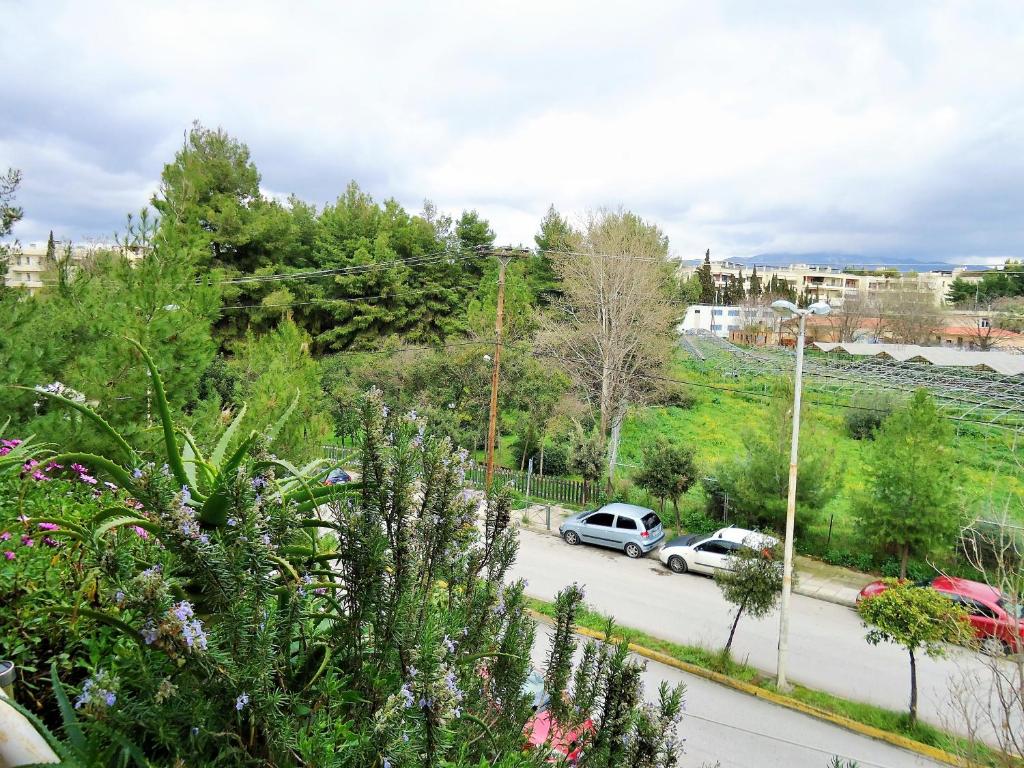 Príroda v okolí apartmánu