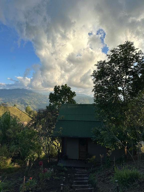 Peisaj natural din apropierea acestui apartament