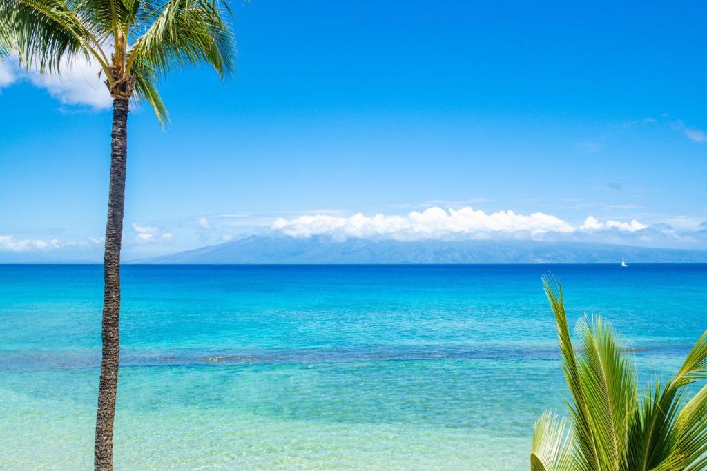 dos palmeras en una playa cerca del océano en Paki Maui 302A, en Honokowai