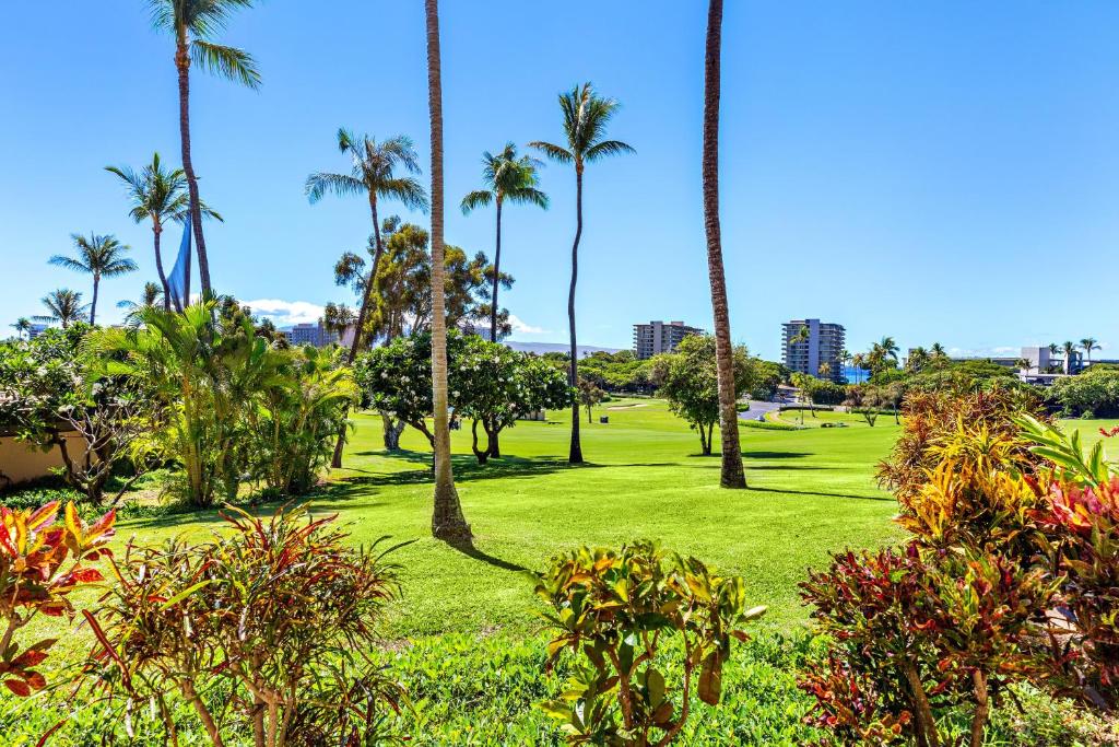 En have udenfor Kaanapali Royal L102