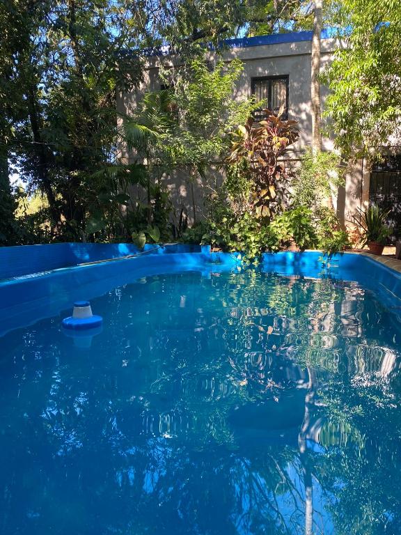 a pool of blue water in a yard with trees at Arboleda in Jardín América