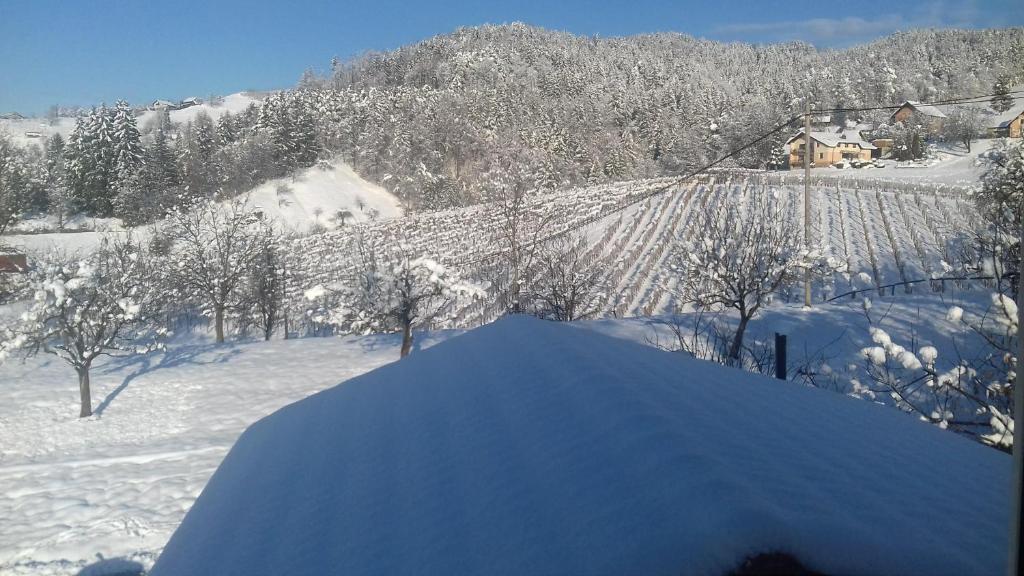 a snow covered hill with a house and trees at Rural Retreat - Comfort Oasis in Oplotnica