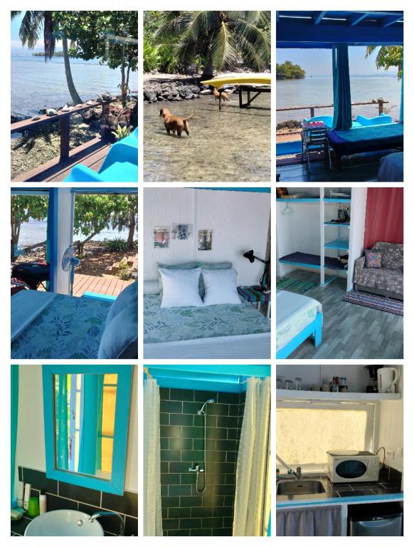 bungalow vue lagon 180 degré, la maison bleue - photo 10 - Moorea, Polynésie
