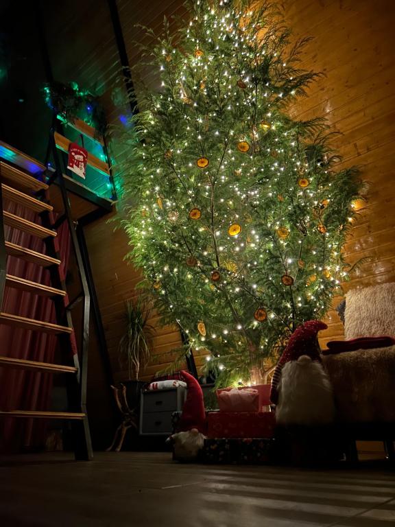 Φωτογραφία από το άλμπουμ του Orange Cottage σε Agara