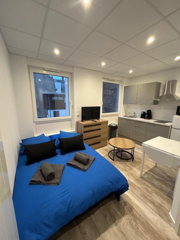 TV a/nebo společenská místnost v ubytování Petit cocon à 5 min du marché de Noël