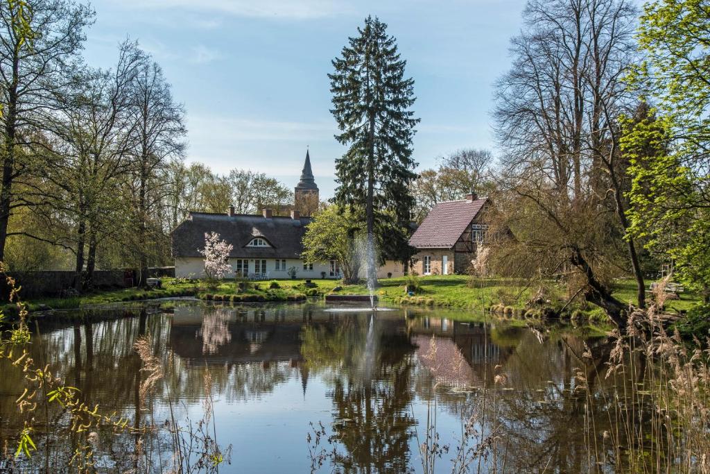 ein Haus an einem Teich vor einer Kirche in der Unterkunft Gartenhaus am Schwanenteich in Lassan