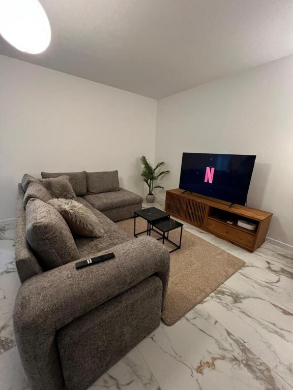 a living room with a couch and a flat screen tv at Appartement spacieux centre Colmar in Colmar