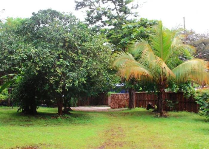 Κήπος έξω από το Tylers Place