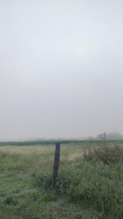 Naturlandskabet i nærheden af lejligheden