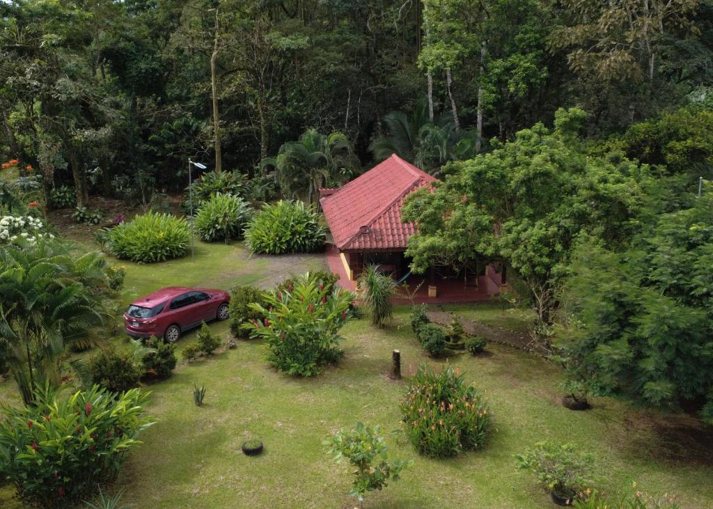 Κήπος έξω από το Cabin with private tropical forest