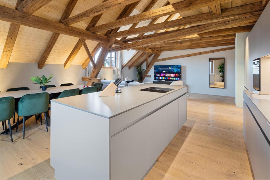 TV a/nebo společenská místnost v ubytování Visionary Hospitality Bassersdorf, Zürich - Premium Apartments in Swiss Style with Free Parking, Washer, Kitchen, Terrace, Vaulted Cellar Event Room, Bus Stop, 15' City & Airport