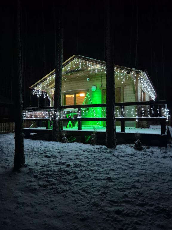 博尔斯克Dziczek的雪中带圣诞灯的房子