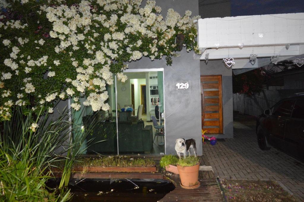 a dog sitting in front of a house with flowers at Casa de huéspedes Aruska in São Gabriel