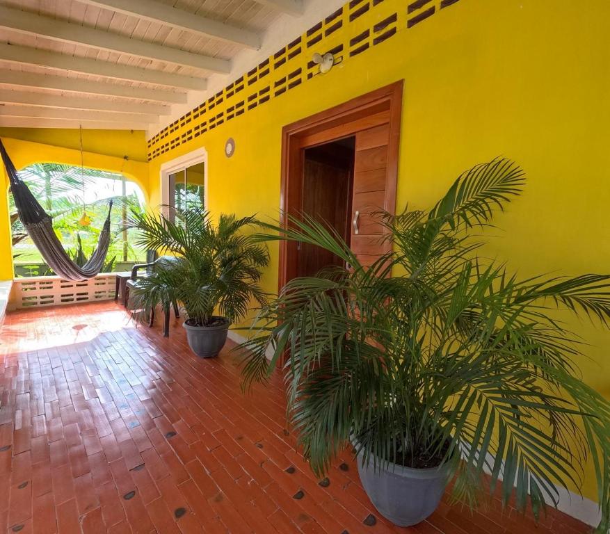 Casa Manglares Capurganá في Acanti: غرفة بها نباتات مزروعة في أصص أمام جدار أصفر