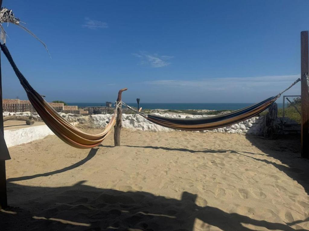 Природа в окрестностях дома для отпуска