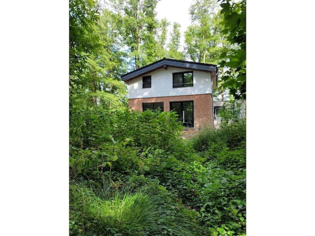 een huis midden in een bos bij Holiday home Littard in Rheurdt