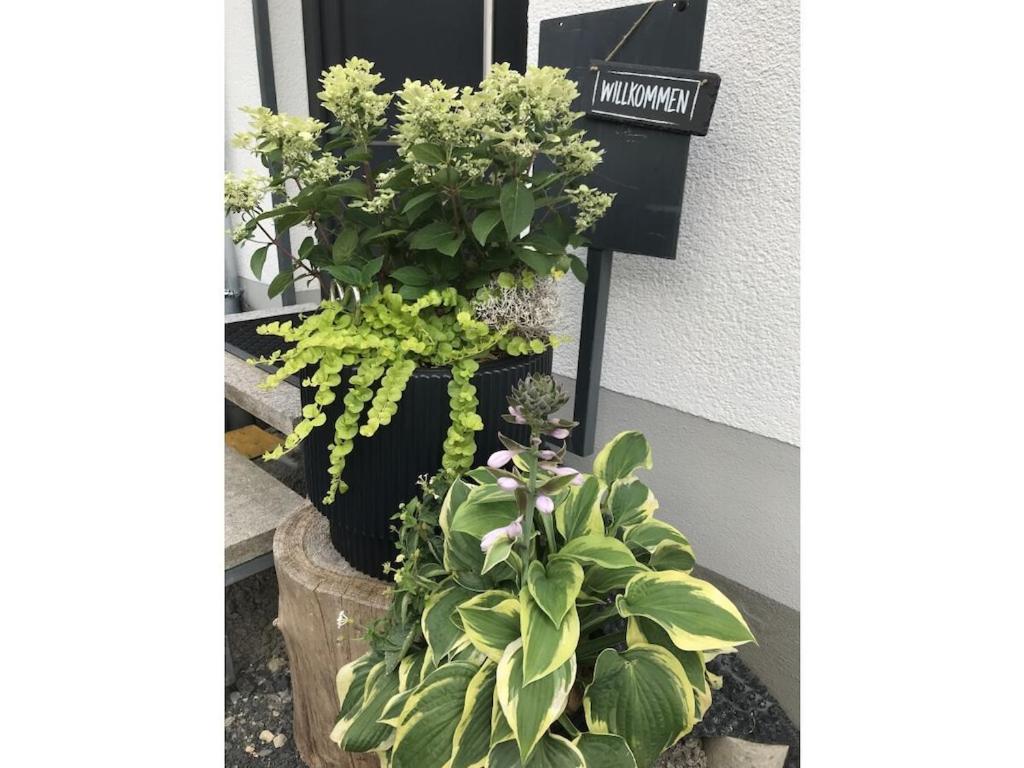 a couple of potted plants sitting next to a building at Holiday apartment with 1 bedroom in Oberbach