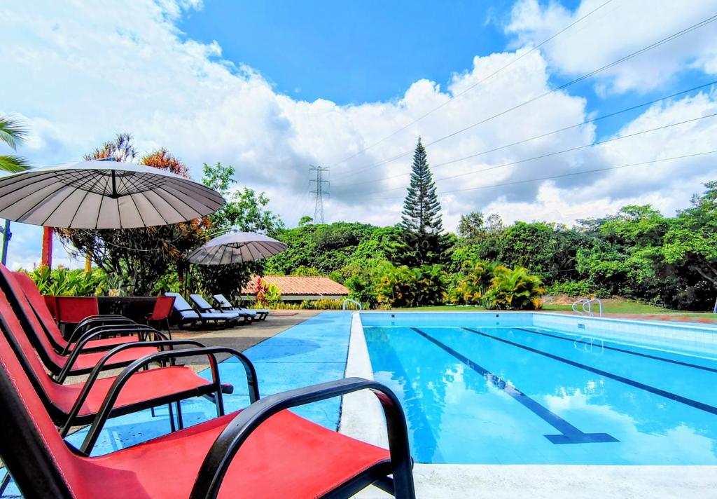 a swimming pool with two chairs and an umbrella at Finca El Paraíso in La Mesa