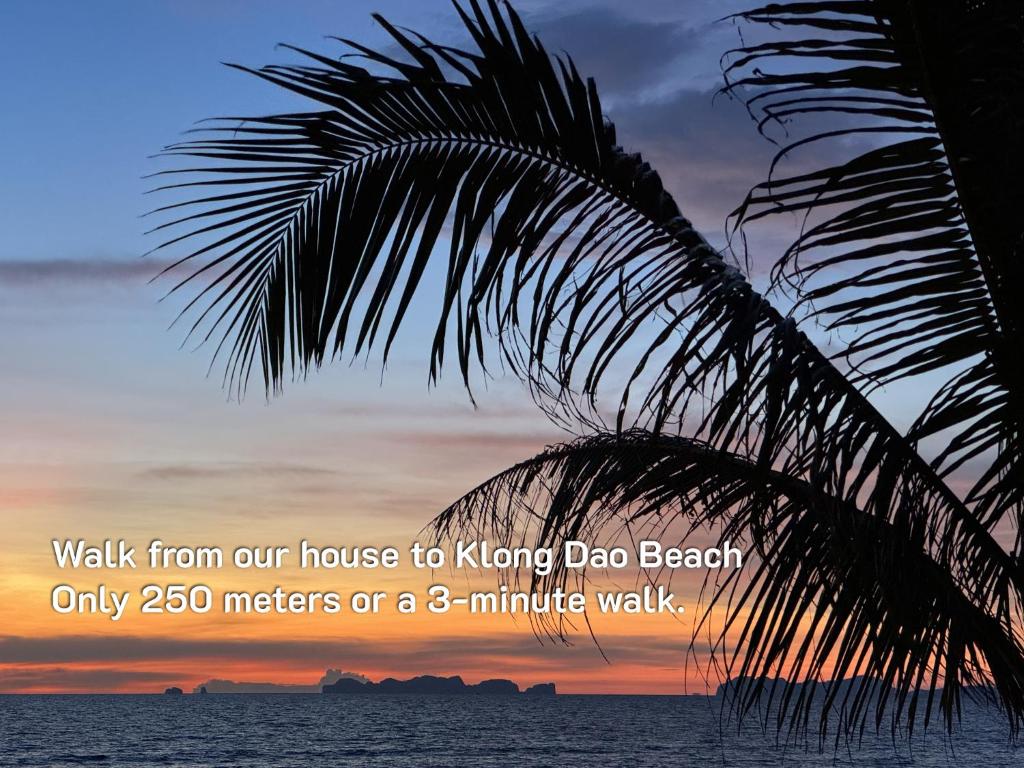 高兰Abrite House - Tiny House Koh Lanta的一棵棕榈树，上面写着“从我家步行到孔多狗海滩”。