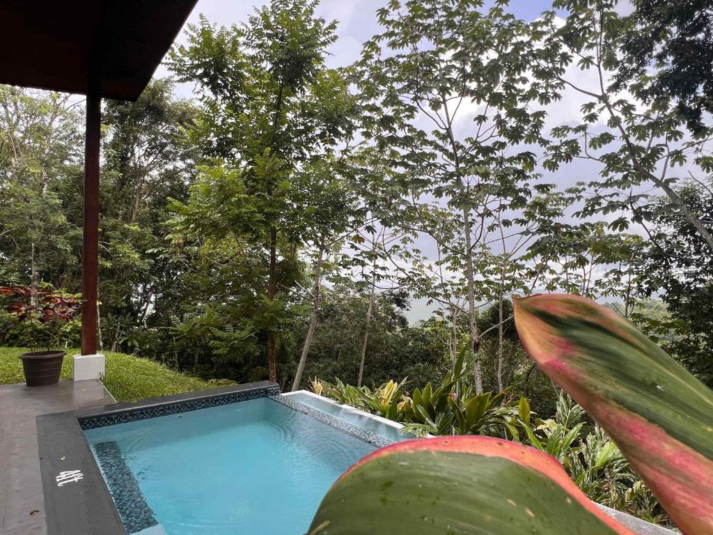 Πισίνα στο ή κοντά στο Chial Villa 16 Overlooking San Ignacio Mountains