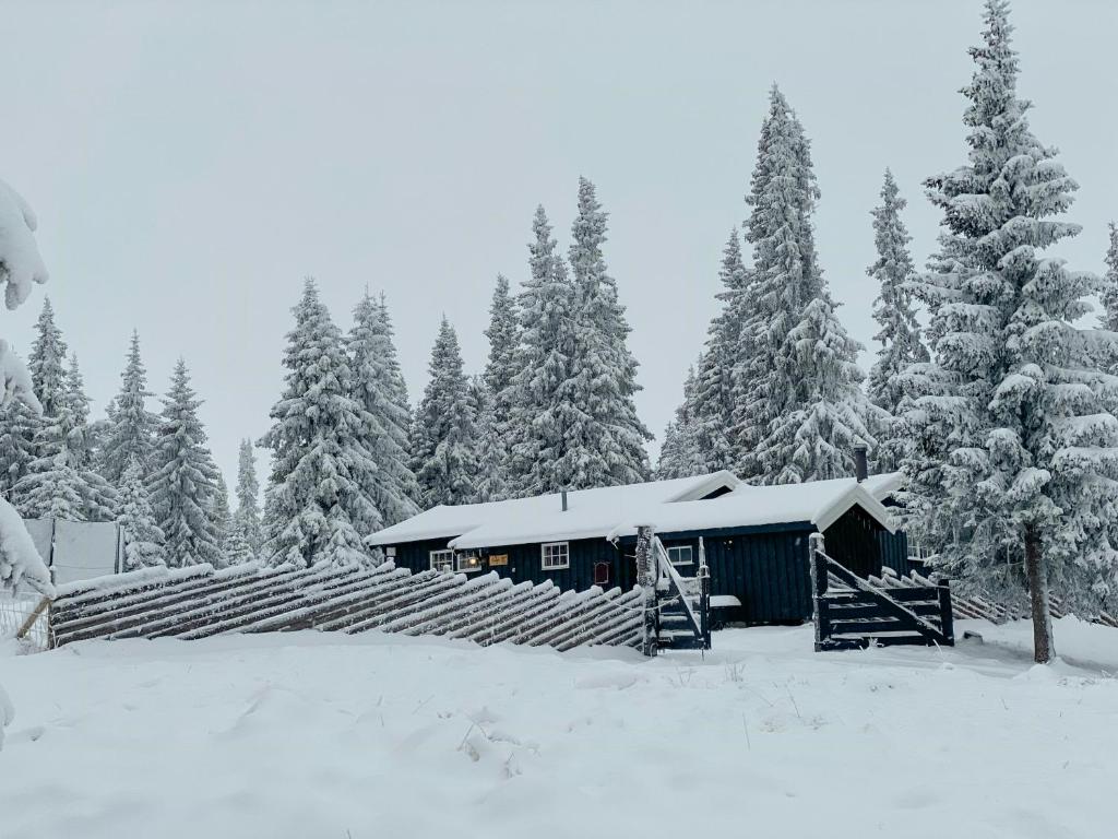Cabin With Ski Inout Near Gribbe, Valdres v zimě