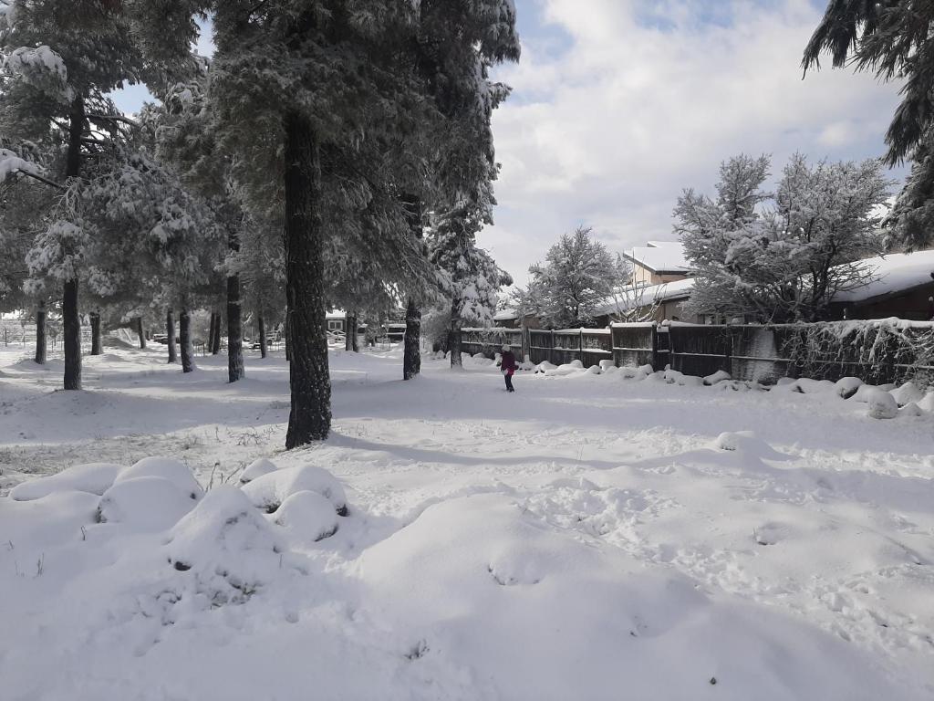 גן עדן באופק - הבית! v zimě