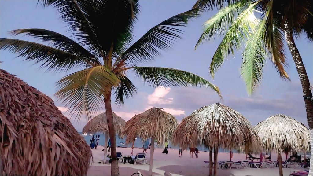 Природа в окрестностях апартаментов/квартиры