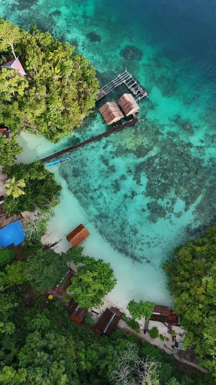 an aerial view of a island in the water at " Wobbegong Raja Ampat " in Yennanas Besir
