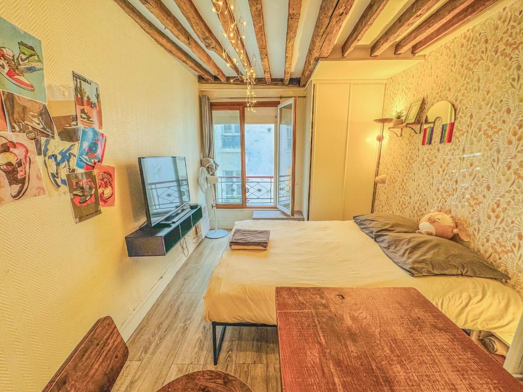 TV a/nebo společenská místnost v ubytování 04 Grand studio near République