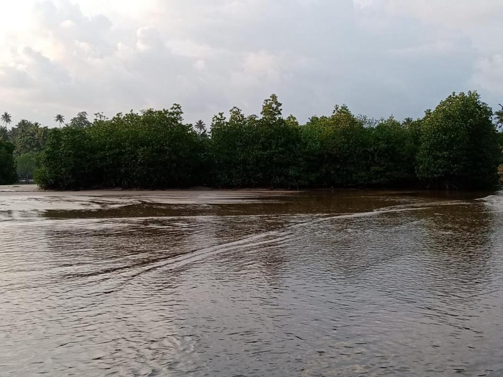 Φωτογραφία από το άλμπουμ του White place σε Ahangama